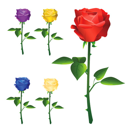 rose vector のイラスト素材