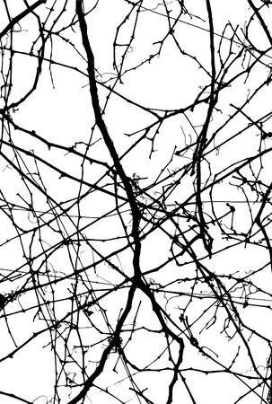 background  line  vectorのイラスト素材