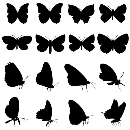 butterfly set のイラスト素材