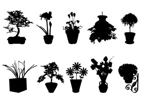 flower vector のイラスト素材