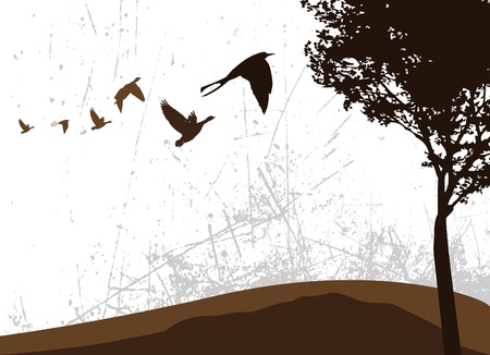 natural background のイラスト素材