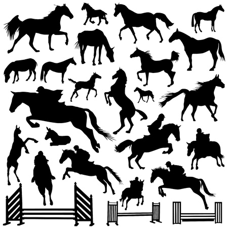 collection of horse vectorのイラスト素材