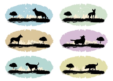 dogsのイラスト素材