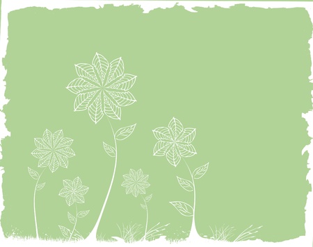 floral backgroundのイラスト素材