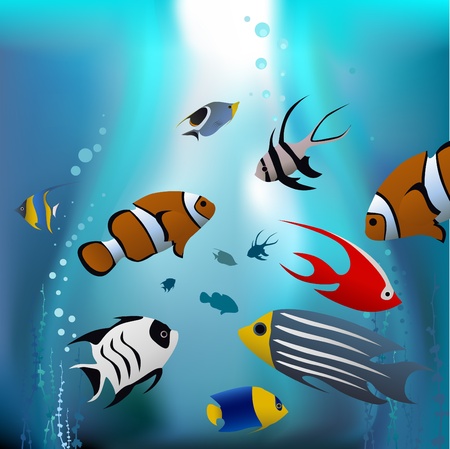 cartoon tropical fishes のイラスト素材