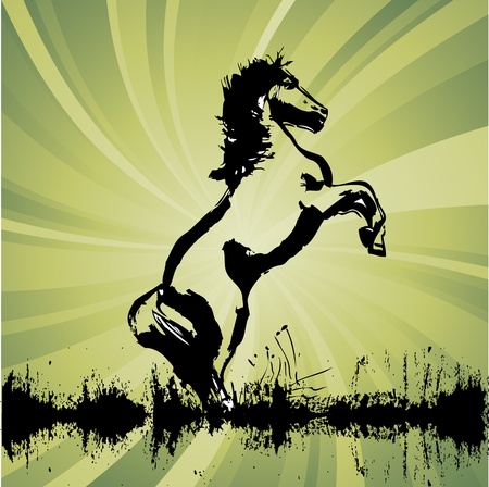 horseのイラスト素材