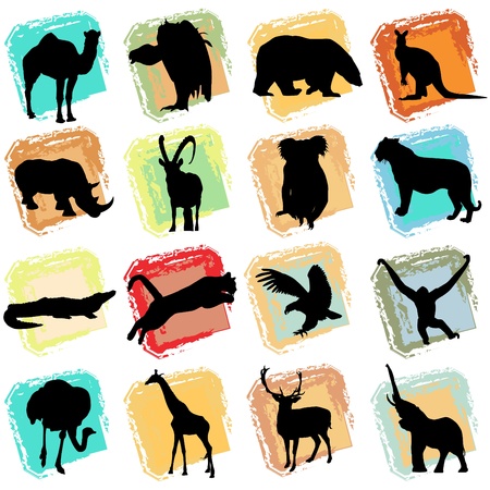 wild animalsのイラスト素材