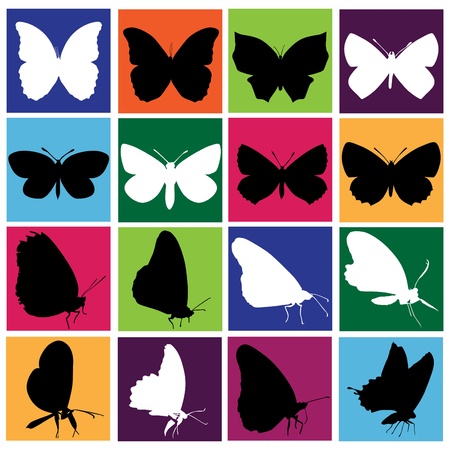 butterfly setのイラスト素材