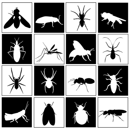 set of insectのイラスト素材