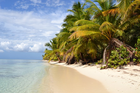 paradise beachの写真素材