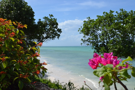 landscapeの写真素材