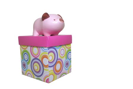 Piggy Bank on Gift Boxの写真素材