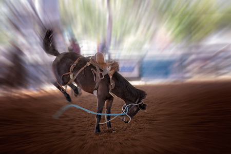 Riderless bucking bronco horse at indoor country rodeo, with motion blurの写真素材