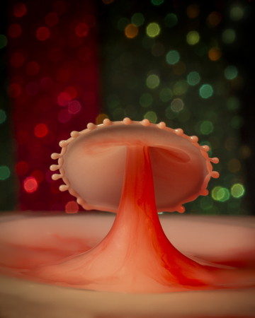Liquid Drop Art - Water Drop Photography.  A sparkling red and green Christmas theme.の写真素材