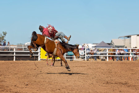 Cowboy rides a bucking horse in bareback bronc event at a country rodeo