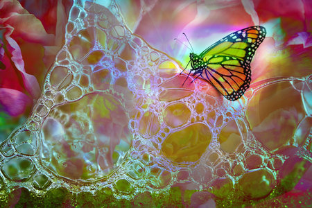 A colorful wallpaper design incorporating soap bubbles, a flower and a butterfly - bright and happy