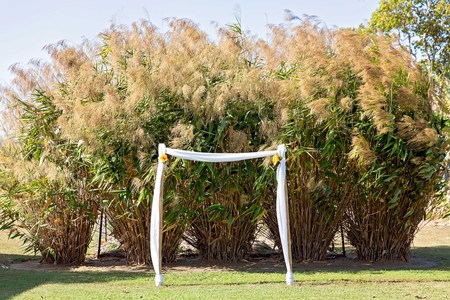 Romantic Outdoor Marriage Ceremony Set Upの写真素材