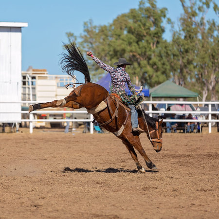 Cowboy riding a bucking bronco horse in a competition at a country rodeo