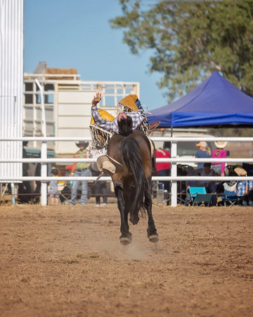 Cowboy riding a bucking bronc horse in a rodeo competition in Australia