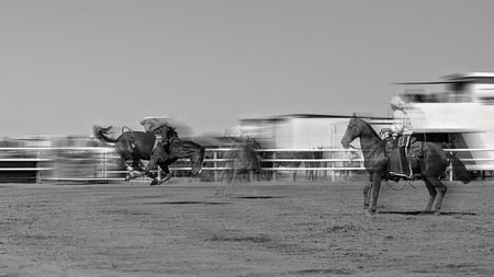 Cowboy riding a bucking bronc horse in a rodeo competition in Australiaの写真素材