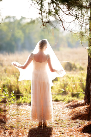 A bride poses covered in her veil with beautiful soft sunlight glowing around herの写真素材