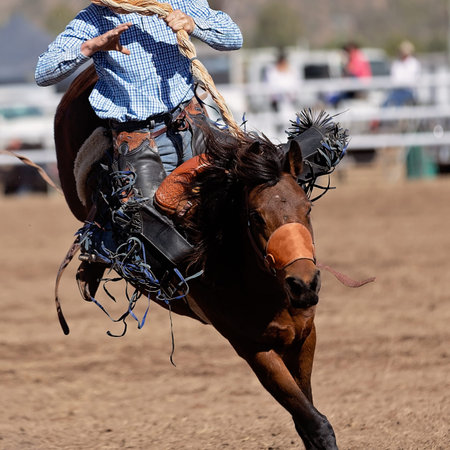 Cowboy rides a wildly bucking horse in bareback bronc event at a country rodeo