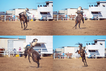 Collage of bareback bronc horses wildly bucking cowboys at a country rodeoの写真素材