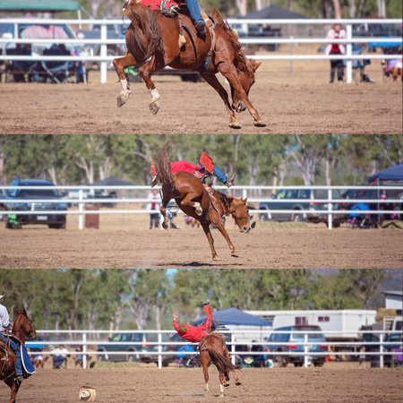 Collage of a cowboy riding a bucking horse in the saddle bronc event at a country rodeoの写真素材