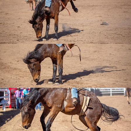 Collage of a cowboy riding a bucking bronco in the bareback bronc event at a country rodeoの写真素材