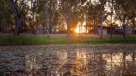 The setting sun over a lily covered lagoon at Miles in Queensland Australiaの写真素材