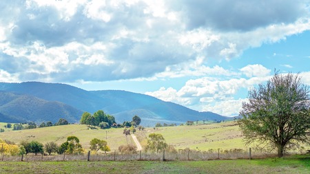 Road Trip - The rolling Australian countryside in rural New South Walesの写真素材