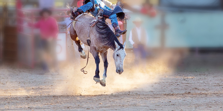 Bucking bronc horse riding competition entertainment at country rodeoの写真素材