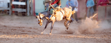 Bucking bronc horse riding competition entertainment at country rodeo
