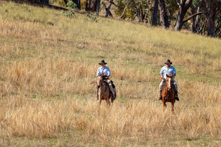 CORRYONG, VICTORIA, AUSTRALIA - APRIL 5TH 2019: The Man From Snowy River Bush Festival re-enactment,...