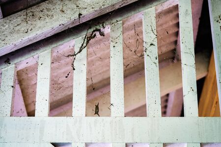 Unacceptable housekeeping standard with spiders and cobwebs in ceiling of vintage home from yesteryearの写真素材