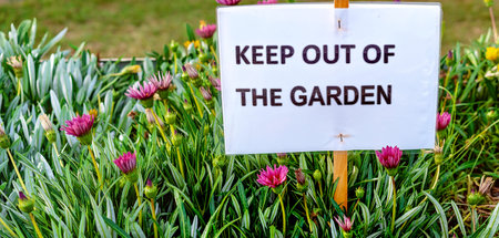 Keep Out Of Garden sign on a colorful flower bed in a park