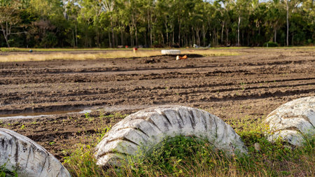 An empty muddy bike racing track edged with old painted rubber car tires