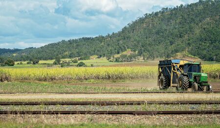 Macky, Australia - August 25th 2019: Farmer carting his harvested sugar cane to the railway siding for transporting to the sugar mill refineryのeditorial素材