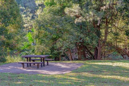 Picnic tables and chairs for relaxed dining in a picturesque setting shaded by lush trees from the late afternoon sunの写真素材