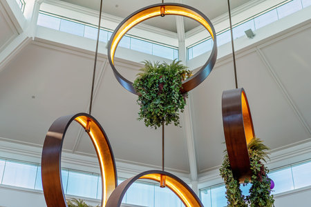 Circular brass rings decorated with ferns hanging from a high ceiling as a feature