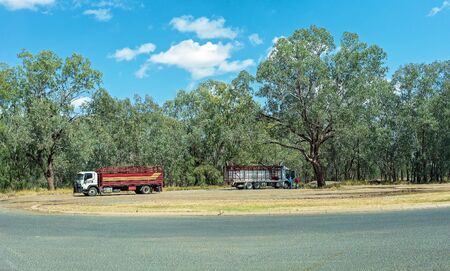 Clermont, Queensland, Australia - October 2019: Two trucks at a rest stop with the drivers chatting under a treeのeditorial素材