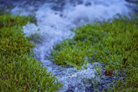 Close up of cut green grass with a small water flow running into a pond. Intentionally blurred background and shallow depth of field.の写真素材