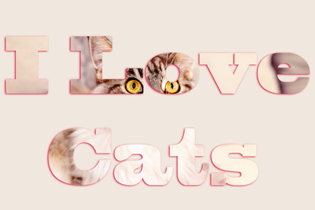I Love Cats - text with image of a cat forming the letters, suitable for web, print, professional or...
