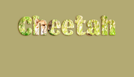 Cheetah - text with cheetah image forming the letters, suitable for immediate web, print,...