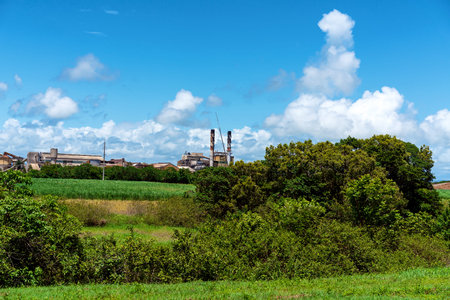 A sugar refinery with tall crane used to repair the smoke stacks in the off season when it is out of...