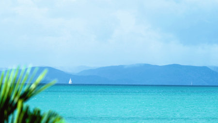 Two yachts sailing in the breeze on a beautiful morning in tropical North Queensland Australia