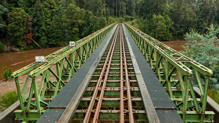 A steel bridge railway crossing over a creek on the route of the West Coast Wilderness Railway in...