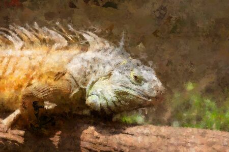 Digital artistry illustration - abstract watercolor painting of large bearded dragon sitting on a tree branchの写真素材