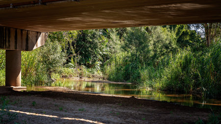 A popular creek for families swimming and paddling while parking under the bridge in the shade