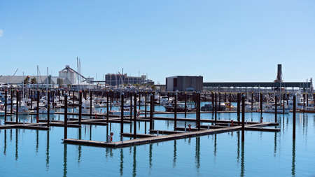Mackay, Queensland, Australia - June 2020: Luxury boats moored at marina berths in calm blue waterのeditorial素材